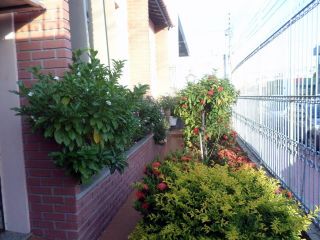 Casa em 13 de Julho  -  Aracaju