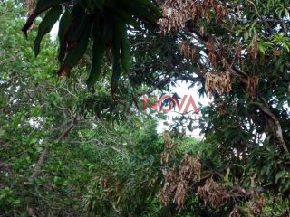 Sítio em S/bairro  -  Itabaiana