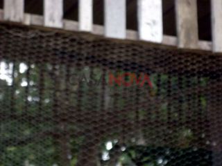 Sítio em S/bairro  -  Itabaiana