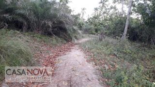 Terreno em Expansão do Conjunto Santa Lúcia  -  São Cristóvão