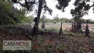 Terreno em Expansão do Conjunto Santa Lúcia  -  São Cristóvão