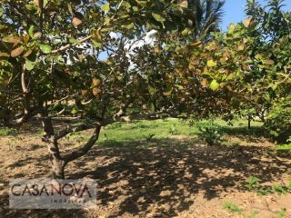Casa em Centro  -  Barra dos Coqueiros