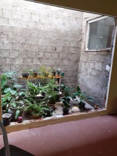 Casa com 2 Pavimentos - Mosqueiro