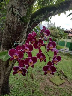 Vende-se Uma Chácara com Área total 3.525m² Areia Branca (Zona de Expansão). Com Escritura.