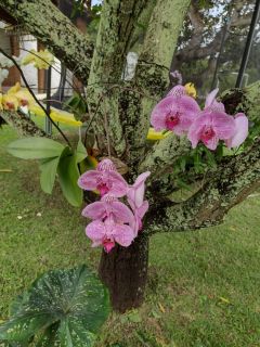 Vende-se Uma Chácara com Área total 3.525m² Areia Branca (Zona de Expansão). Com Escritura.