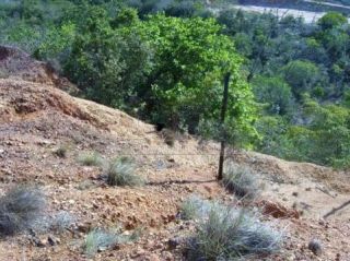 Terreno em São Cristovão
