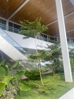 Alugo sala no Mandriani Business