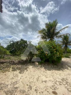 Sítio em Lagoa Seca