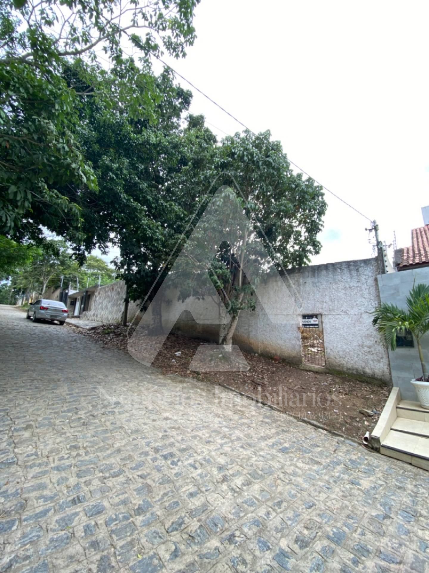 Lote no Juracy Palhano