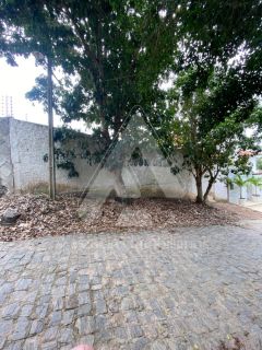 Lote no Juracy Palhano