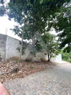 Lote no Juracy Palhano