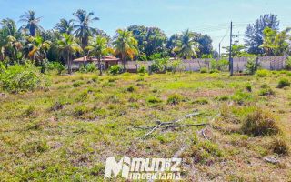 Oportunidade Imperdível: Sítio à Venda no Mosqueiro!