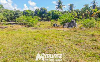 Oportunidade Imperdível: Sítio à Venda no Mosqueiro!