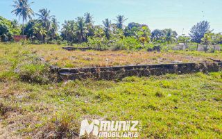 Oportunidade Imperdível: Sítio à Venda no Mosqueiro!