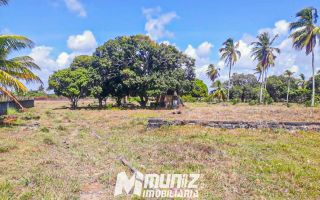 Oportunidade Imperdível: Sítio à Venda no Mosqueiro!