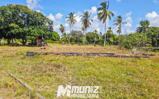 Oportunidade Imperdível: Sítio à Venda no Mosqueiro!