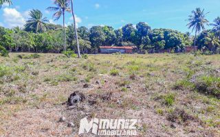 Oportunidade Imperdível: Sítio à Venda no Mosqueiro!