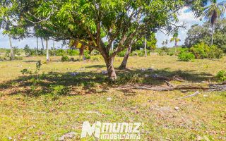 Oportunidade Imperdível: Sítio à Venda no Mosqueiro!