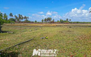 Oportunidade Imperdível: Sítio à Venda no Mosqueiro!