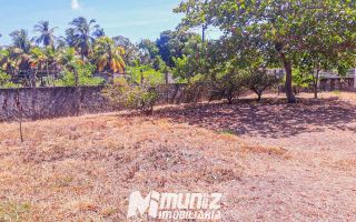 Oportunidade Imperdível: Sítio à Venda no Mosqueiro!