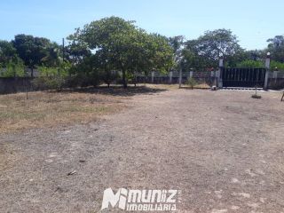 Oportunidade Imperdível: Sítio à Venda no Mosqueiro!