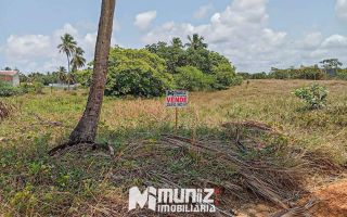 Terreno em Mosqueiro: 2.295m² de Potencial para o Seu Projeto!