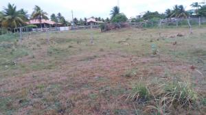 VENDE-SE TERRENO NA PRAIA DO SACO 