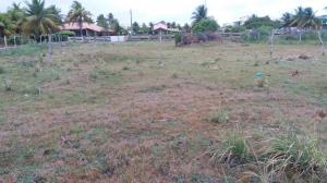 VENDE-SE TERRENO NA PRAIA DO SACO 