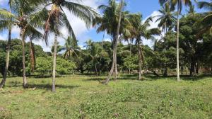 SITIO NA ESTRADA DA CABRITA  EM SÃO CRISTOVÃO
