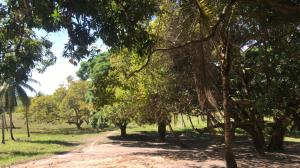 SITIO NA ESTRADA DA CABRITA  EM SÃO CRISTOVÃO