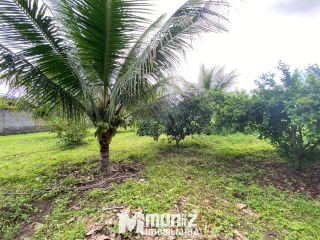 Vende-se Casa com Estilo Chácara no Centro de Dores