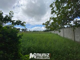 Vende-se Casa com Estilo Chácara no Centro de Dores