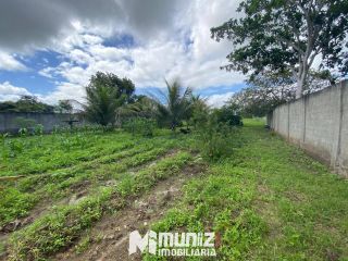 Vende-se Casa com Estilo Chácara no Centro de Dores