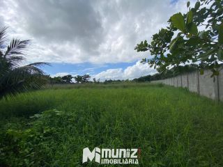 Vende-se Casa com Estilo Chácara no Centro de Dores