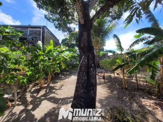 vende-se casa com quintal enorme - Rua Aristide Bispo