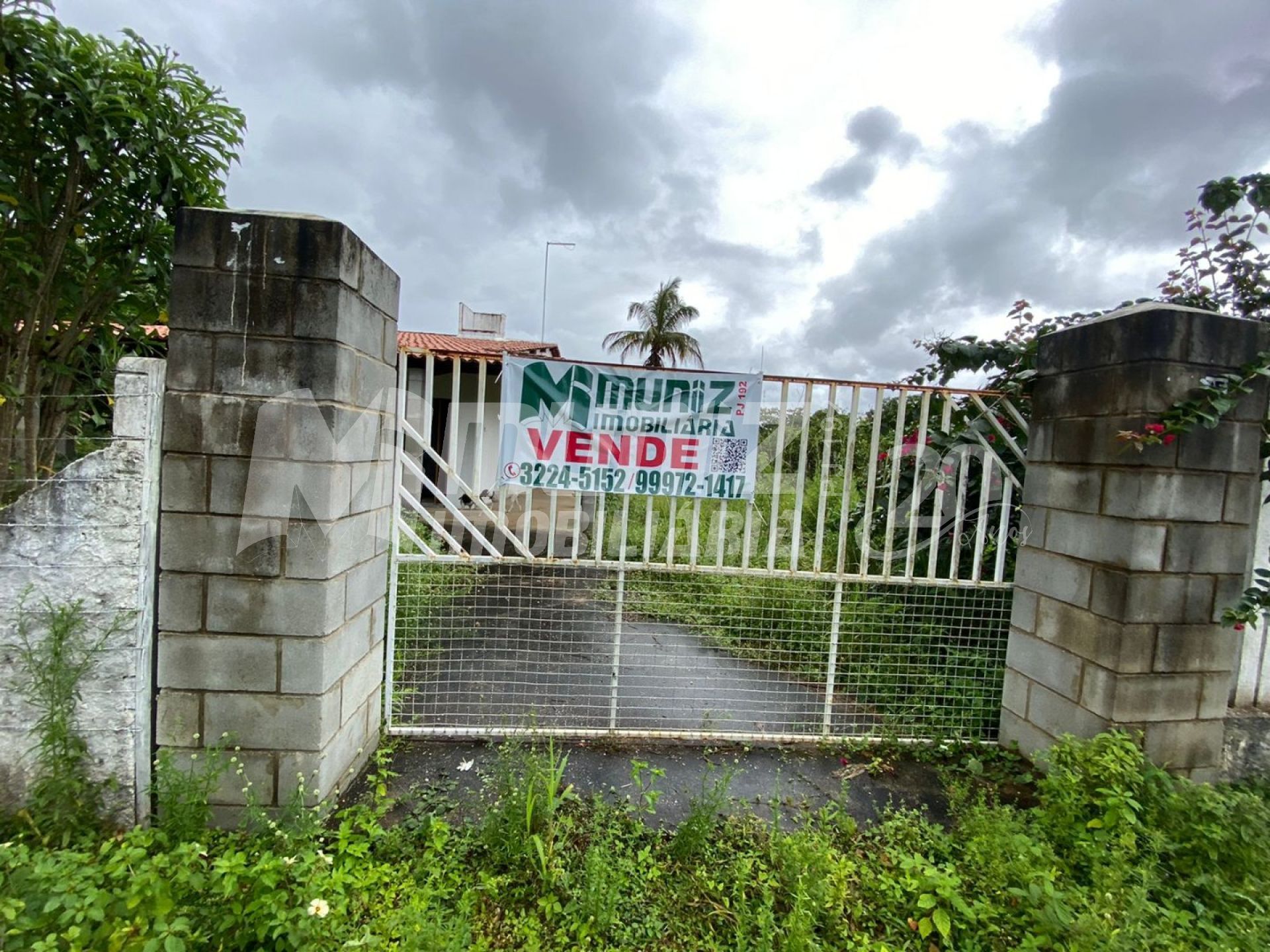 vendo chacara com várias fruteiras em Salgado