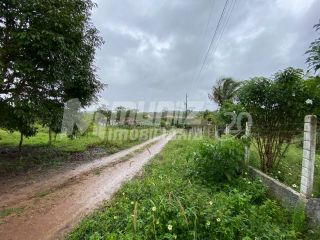 vendo chacara com várias fruteiras em Salgado