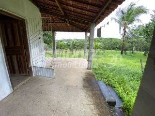 vendo chacara com várias fruteiras em Salgado