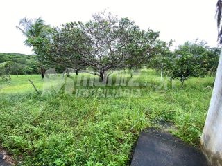 vendo chacara com várias fruteiras em Salgado
