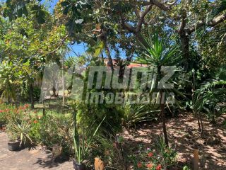 VENDE-SE CHÁCARA NO POV. SÃO JOSÉ