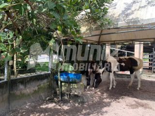 VENDE-SE CHACARA C/PISCINA NO POVOADO ARATICUM