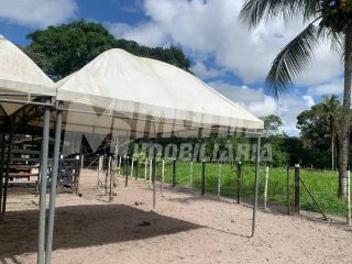 VENDE-SE CHACARA C/PISCINA NO POVOADO ARATICUM